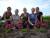 une journee de weeding (desherbage)