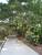 Botanic Gardens