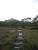 le cote obscure de l'Overland Track